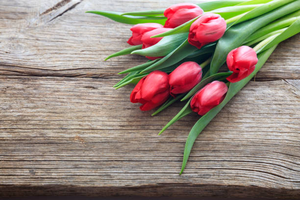 istock Red tulips bouquet on a wooden background 959942442