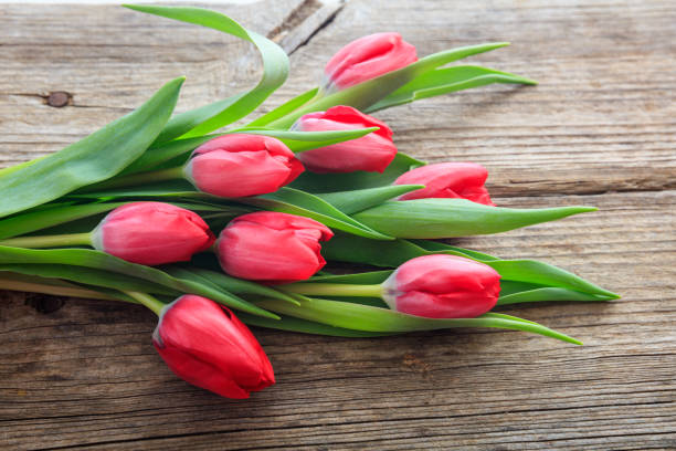 istock Red tulips bouquet isolated on white background 959942982