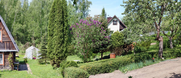 istock Beautiful  green spring  rural  garden with fruit trees and vegetable beds. 959943668