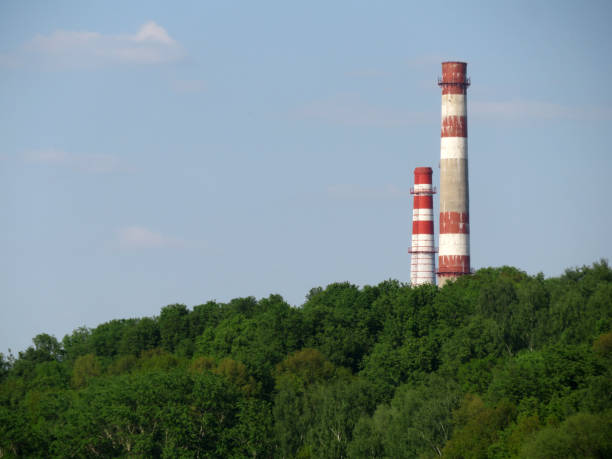 istock Pipes above the forest on the blue sky background 959943792