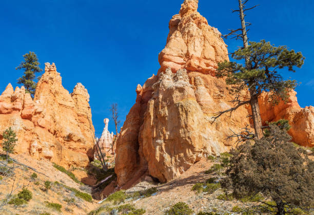 istock Bryce Canyon Utah Winter Landscape 959964892