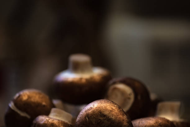 Small pile of whole mushrooms, soft background.