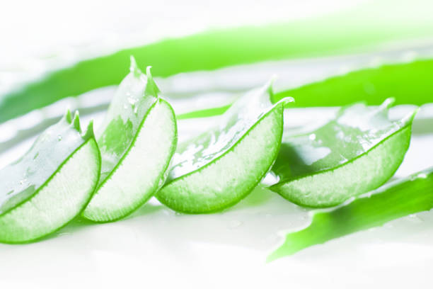 istock stacked sliced aloe vera gel leaf on white background. 959969916