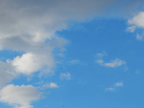 istock Texture of sky with clouds, cloudy weather background 959979048