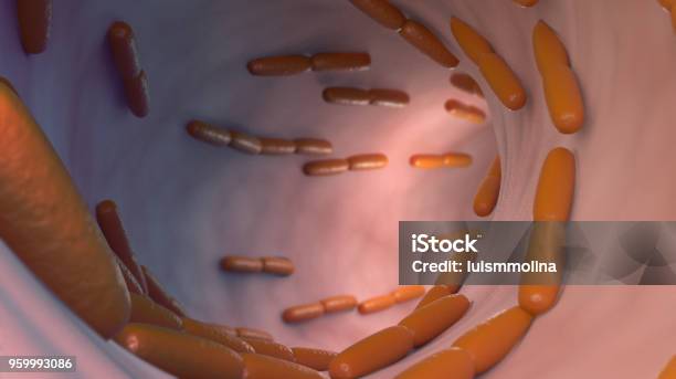 Lactobacillus Acidophilus Stock Photo - Download Image Now - Acid, Acidophile Organism, Bacterium