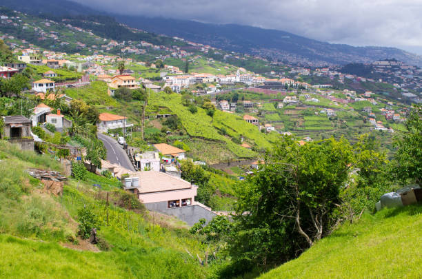 istock Hills covered by clouds, Madeira island - Portugal 959993256
