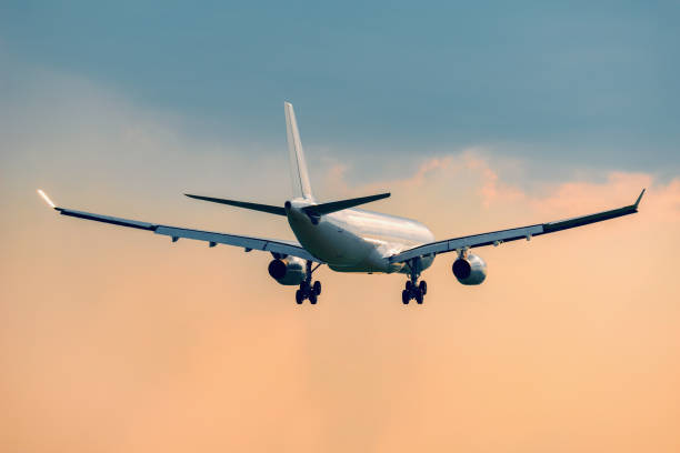 istock Landing of the passenger plane. 959997184