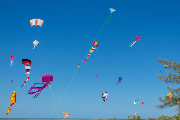 istock Kite competition on a sunny hot day. 960005392