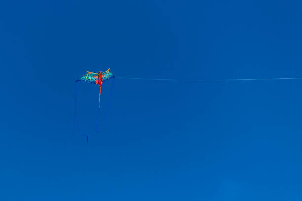 istock Kite competition on a sunny hot day. 960007694