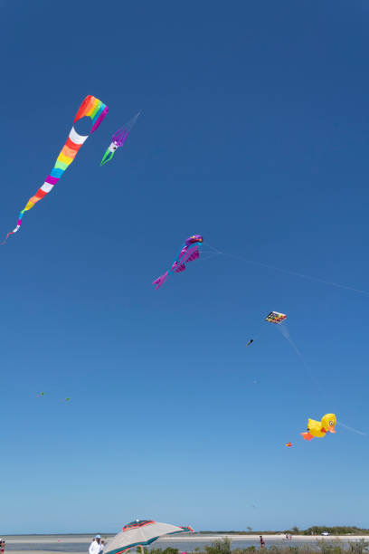 istock Kite competition on a sunny hot day. 960007818