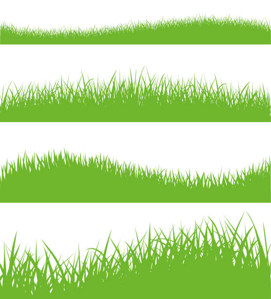 illustrations, cliparts, dessins animés et icônes de vecteur série de silhouettes d’herbe verte - stock vector. - grass prairie silhouette meadow