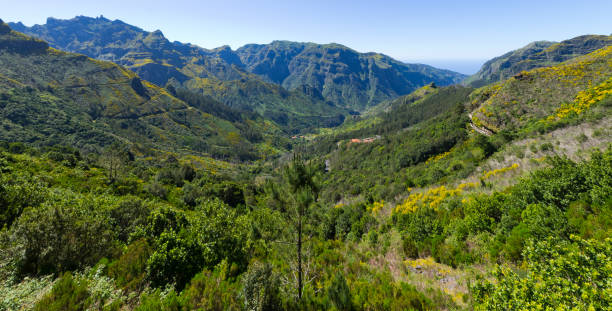 istock Serra de Agua valley on Madeira island, Portugal 960008708