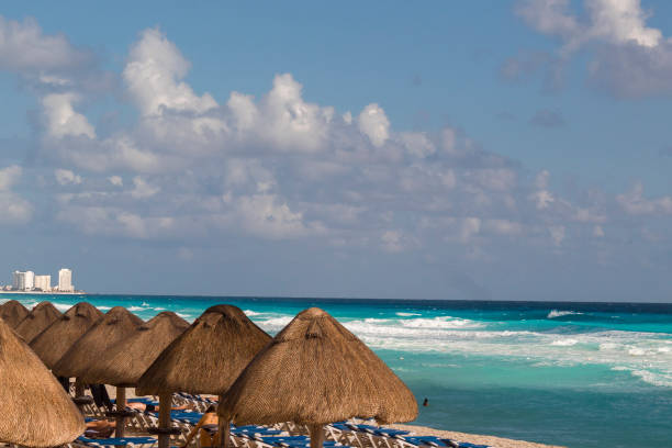 istock Straw huts provide shade at the beach 960017172