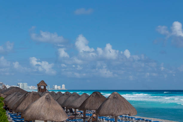 istock Straw huts provide shade at the beach 960017652