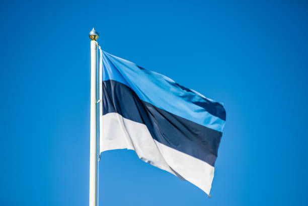 istock Estonian national flag - black white blue 960021100