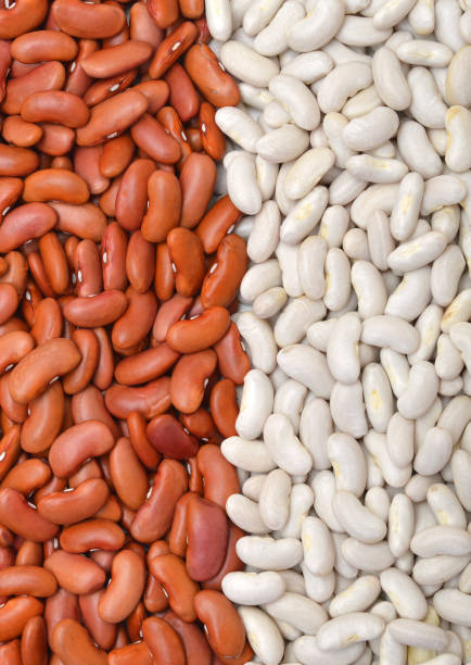 istock red beans and cannellini alubias on background 960024300