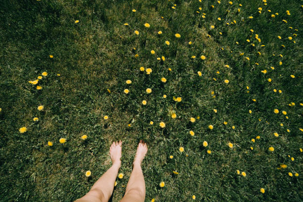 istock feet enjoying summer field and sun 960028442