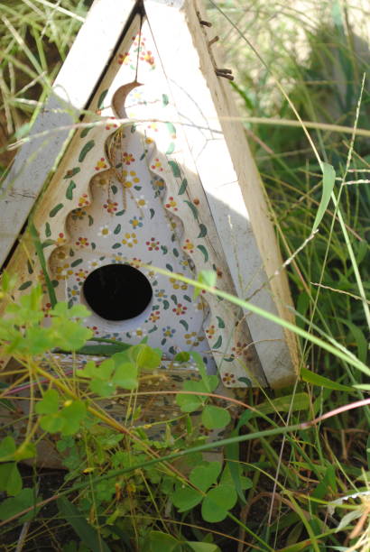 istock Bird House in Field 960039852
