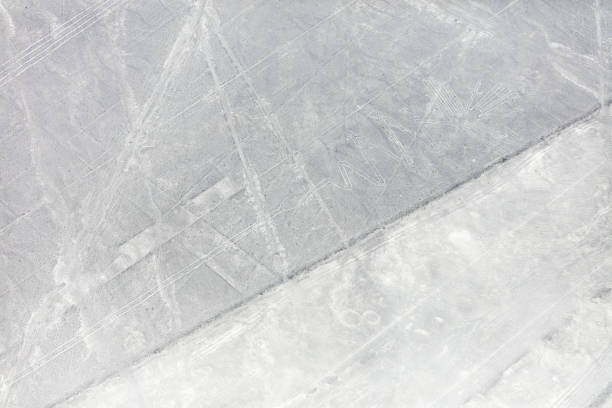 istock Nazca lines from the aircraft 960046554