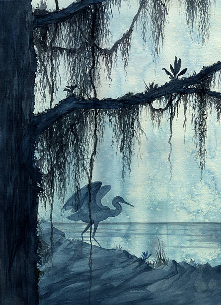 Heron in Swamp  moss stock illustrations
