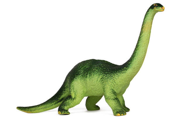 緑の恐竜 diplodoc - high school 写真 ストックフォトと画像