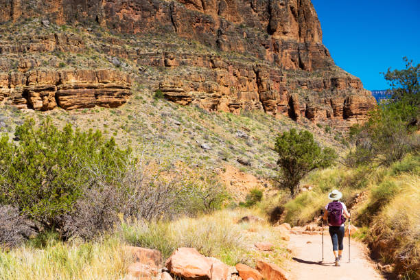 istock Woman hiking Grand Canyon 960053940
