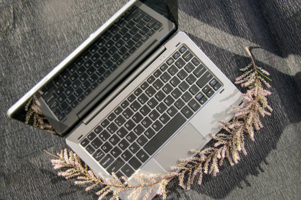 istock Grey laptop and flower branch black 960054542