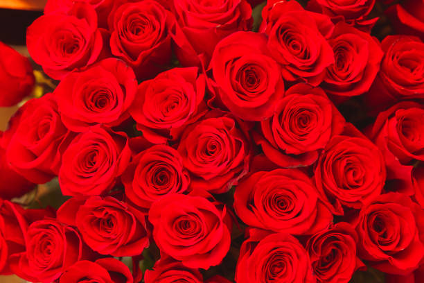 istock Close up of red roses bouquet. 960055442