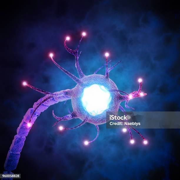 Synapse Is A Structure That Permits A Neuron To Pass An Electrical Or Chemical Signal To Another Neuron Or To The Target Efferent Cell Stock Photo - Download Image Now
