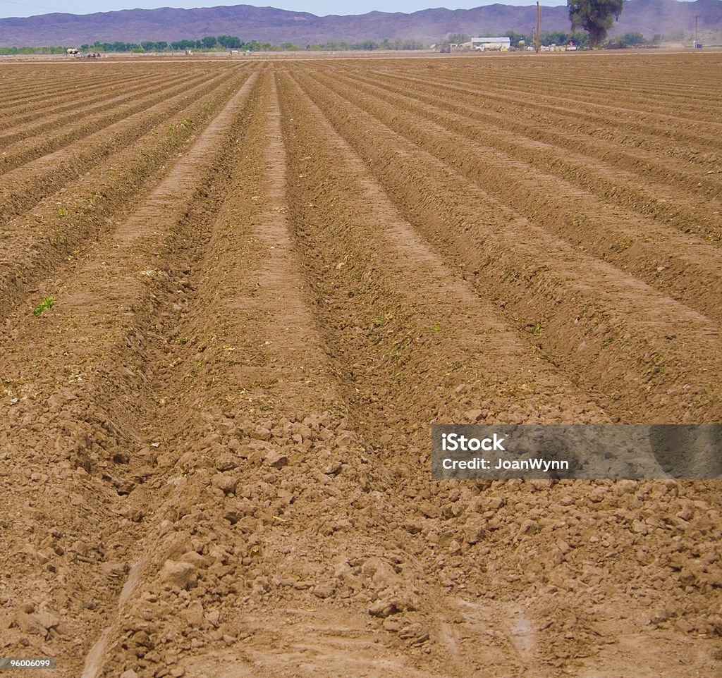 Plowed Field  Agriculture Stock Photo