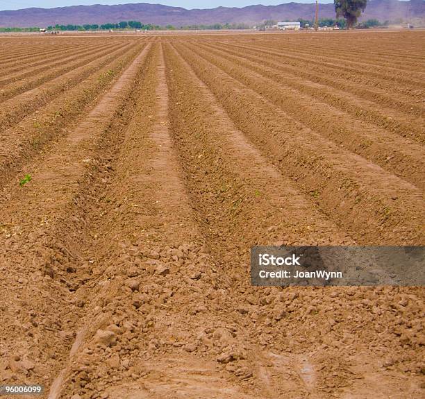 Plowed Field Stock Photo - Download Image Now - Agriculture, Brown, Color Image