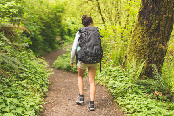 istock Solo woman hiker in the forest 960074898