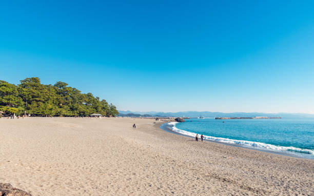 istock Scenery of Katsura-hama beach 960081952