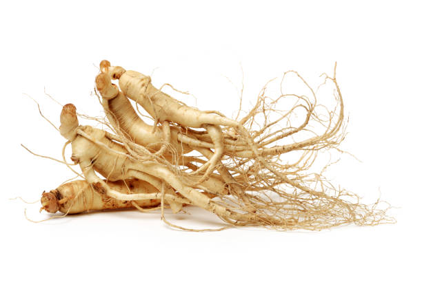 Fresh ginseng root on the white background Fresh ginseng root on the white background ginseng stock pictures, royalty-free photos & images