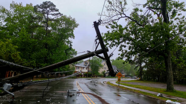 transformateur sur un poteau et un arbre portant sur les lignes électriques sur une route après que l’ouragan a traversé - breaking wind photos et images de collection