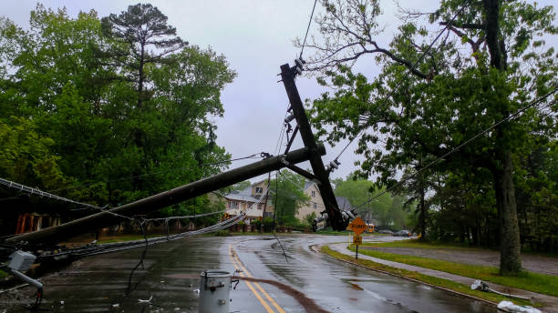 transformer on a pole and a tree laying across power lines over a road after hurricane moved across - acidente natural imagens e fotografias de stock