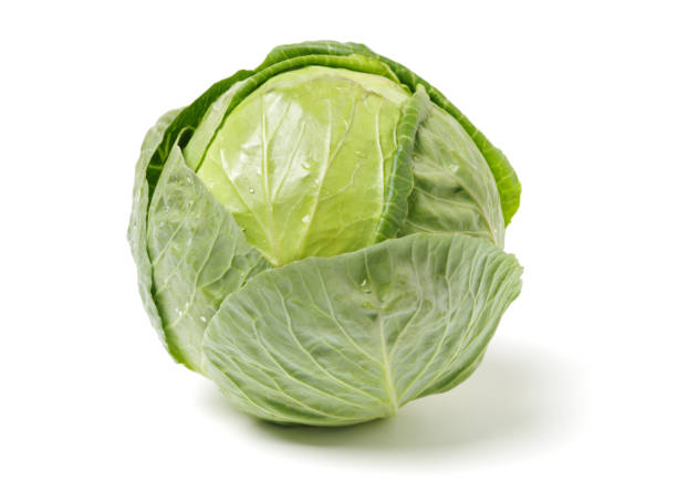 chou, isolé sur fond blanc - green cabbage photos et images de collection
