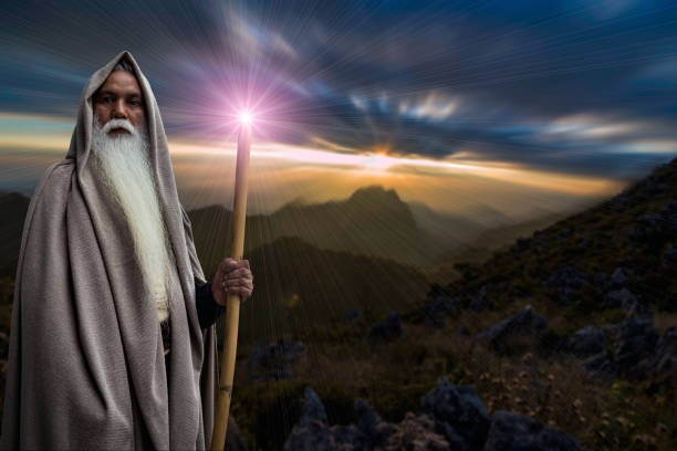 The Wizard Sorcerer The Wizard Sorcerer wizard stock pictures, royalty-free photos & images