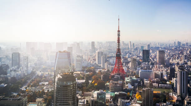 istock Aerial view of Tokyo skyline 960107352