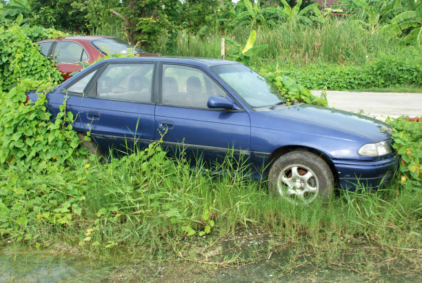 vecchia auto parcheggiata a lungo. - abandoned foto e immagini stock