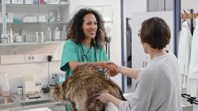 Female veterinarian greeting the woman bringing her cat into the exam room