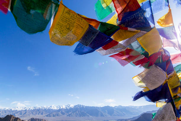 tybetańskie flagi modlitewne w leh, ladakh, indie - flag of tibet zdjęcia i obrazy z banku zdjęć