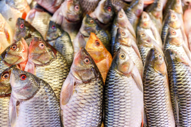 istock Fresh Fish On Display At Chow Kit Market Kuala Lumpur Malaysia 960121146