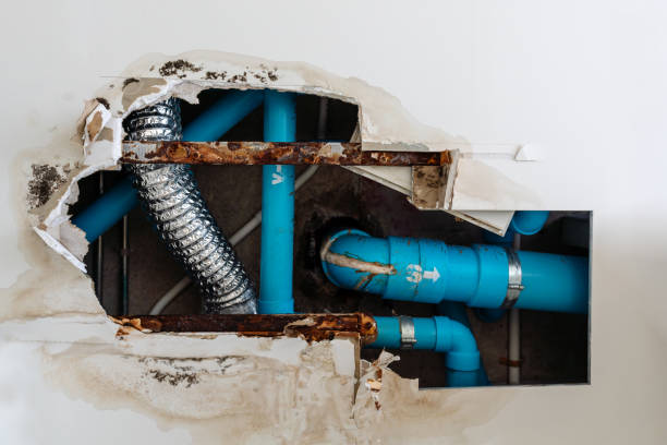 home residential problem, damage ceiling in restroom, water leak out from waste piping system make ceiling damaged - water pipe rusty dirty equipment imagens e fotografias de stock