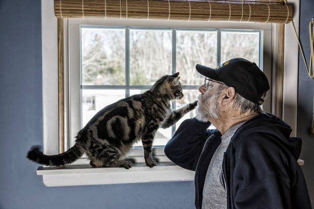 Tabby Cat Touching US Navy Vietnam War Veteran A real person 67 year old United States Navy Vietnam War military veteran is playing with his pet striped domestic tabby cat on a bedroom window sill. The affectionate kitty is touching her paw to his face. cat fist bump stock pictures, royalty-free photos & images