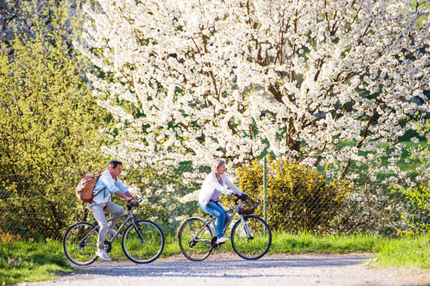 istock Beautiful senior couple with bicycles outside in spring nature. 960144372