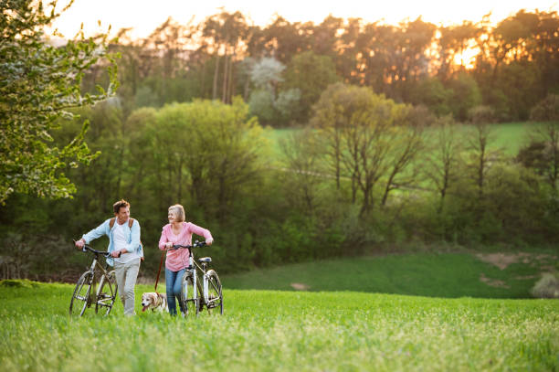 piękna para seniorów z rowerami i psem na zewnątrz wiosną. - senior adult outdoors physical activity mode of transport zdjęcia i obrazy z banku zdjęć