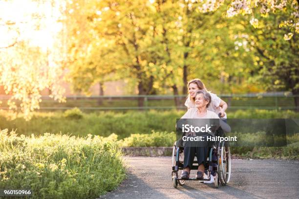 春の自然の孫娘と車椅子の高齢者の祖母 - シニア世代のストックフォトや画像を多数ご用意 - シニア世代, 車いす, ヘルスケアワーカー