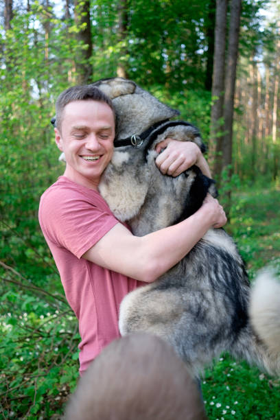 istock attractive young man with his dog malamute on a walk in the forest 960160090