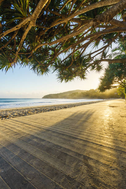 noosa main beach sunrise - coastline noosa heads australia landscape stock-fotos und bilder